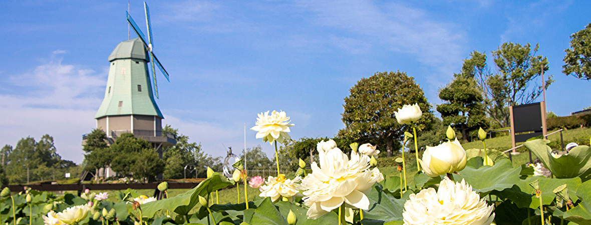 茨城県土浦市