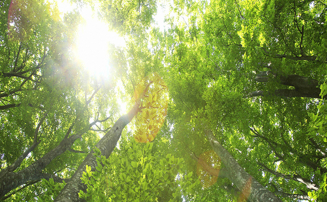 青森県鰺ヶ沢町