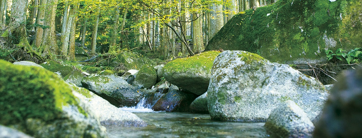 福岡県嘉麻市