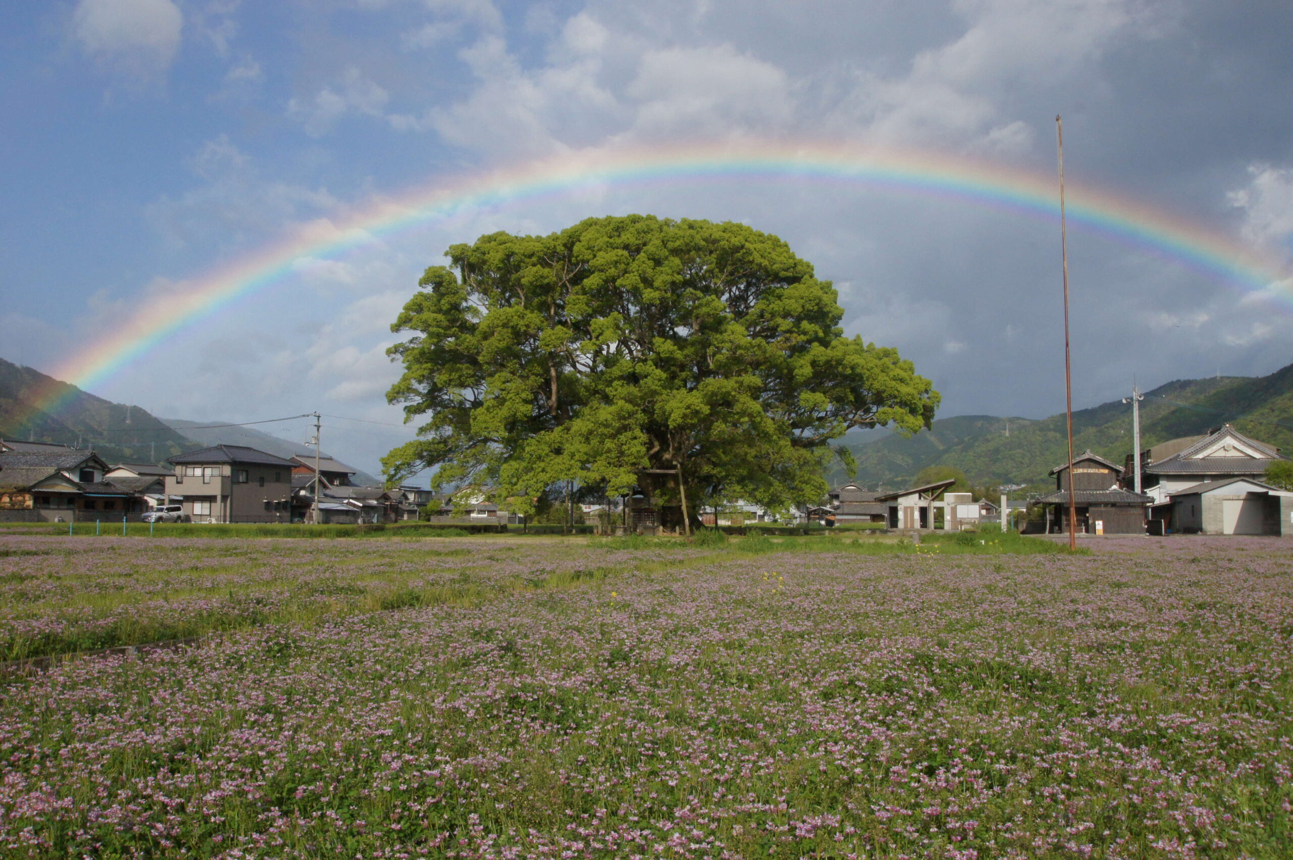 徳島県東みよし町
