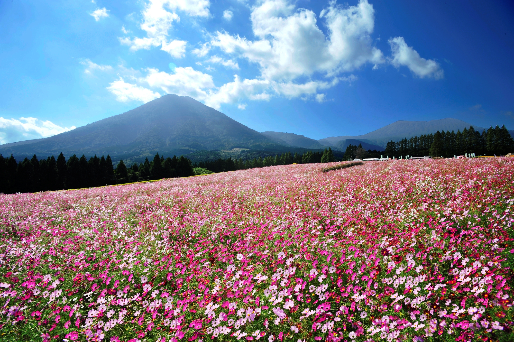 宮崎県小林市